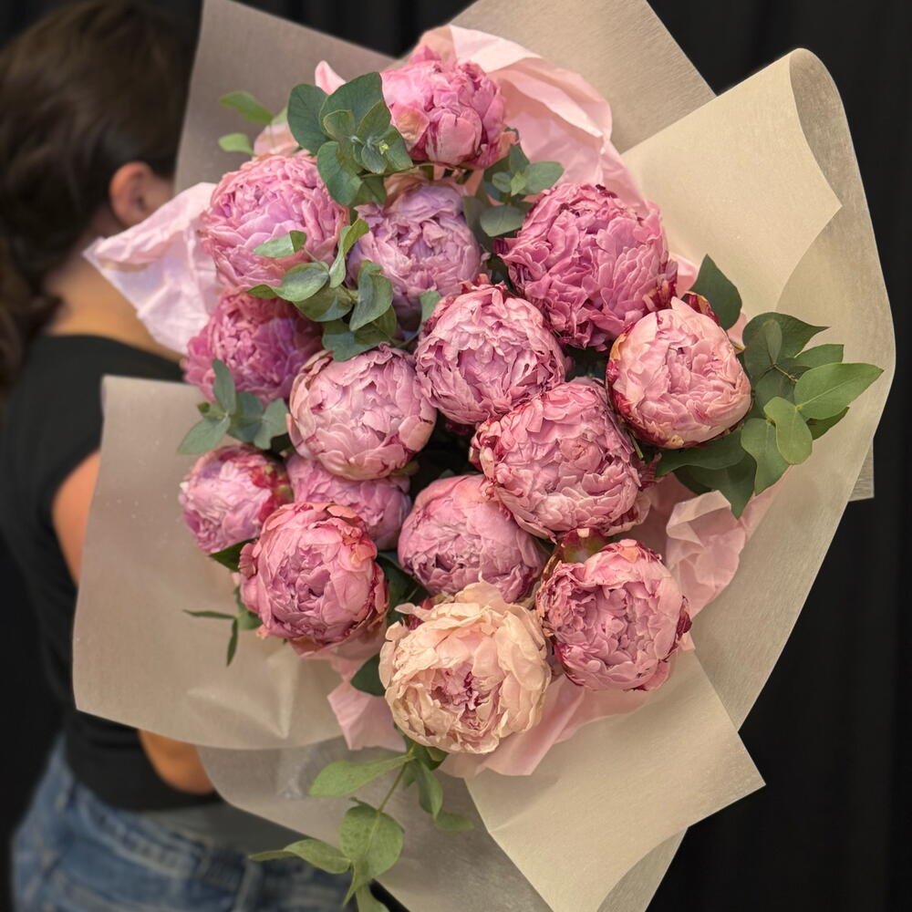 peony rose peony rose