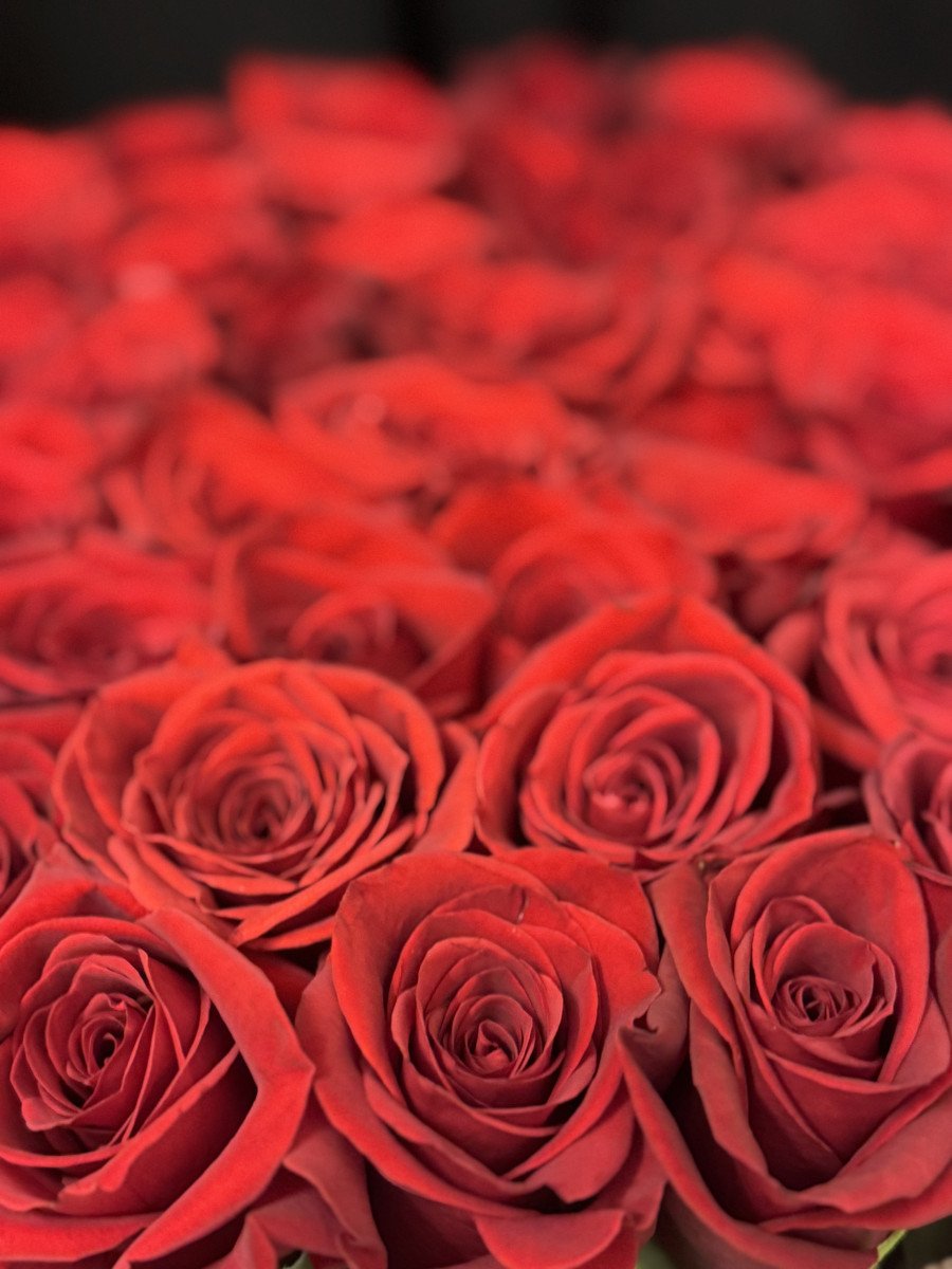 caixa de rosas vermelhas (cópia) caixa de rosas vermelhas (cópia)