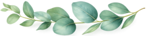 image00 image00