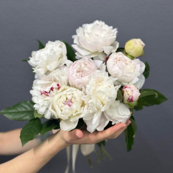 red classic bouquet – 5 red roses (cópia)